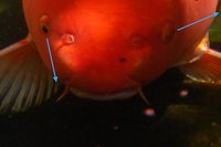 2012 06 08 027a.jpg