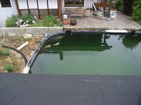 tn_a 024.jpg