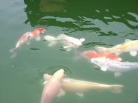 tn_a 040.jpg