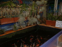 Händlerbesuch Liebl 2012 (3).jpg