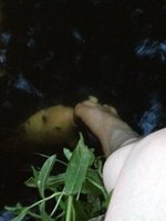 ImageUploadedByTapatalk1340307781.434715.jpg