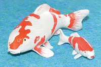 deko_kohaku.jpg