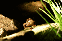 2012 06 21 023a.gif