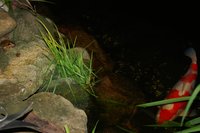 2012 06 21 036.jpg
