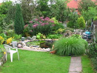 IMGA0242.JPG