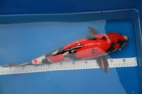 K1600_IMG_1780.JPG