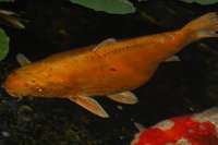 2012 07 24 028.jpg