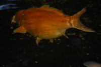 2012 07 24 023.jpg