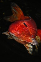 2012 07 24 014.jpg
