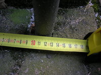 DSCN0455.JPG