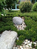 ImageUploadedByTapatalk1343576153.478976.jpg