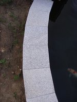 tn_aaa 002.jpg