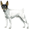 Benutzeravatar