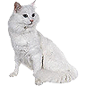 Benutzeravatar